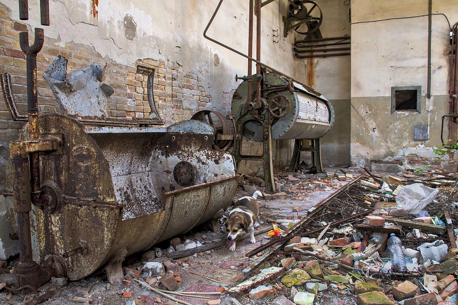 The remains of the laundry of the abandoned hospital on Poveglia