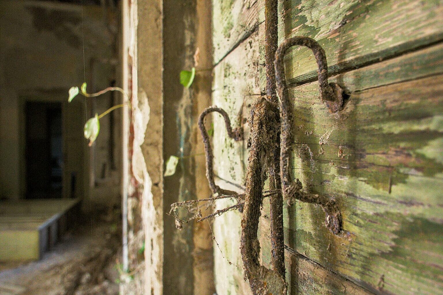 Details of window shutters in the abandoned hospital on Poveglia