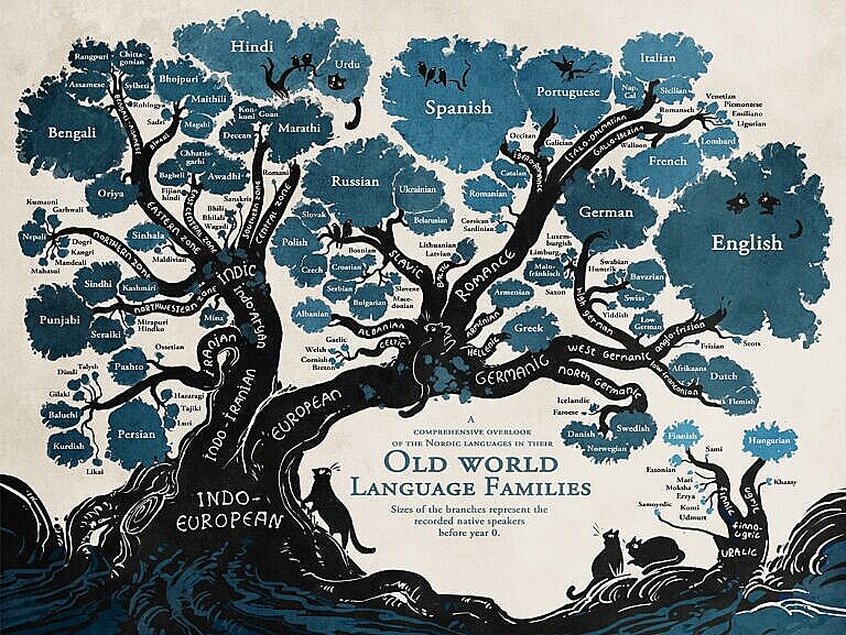 A graphical tree of the relations between the different Indo-European languages.