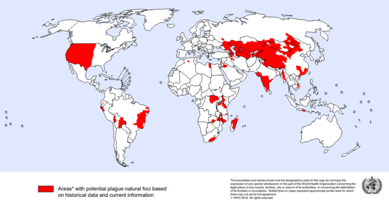 A map of recent cases of the black plague around the world (source: WHO)