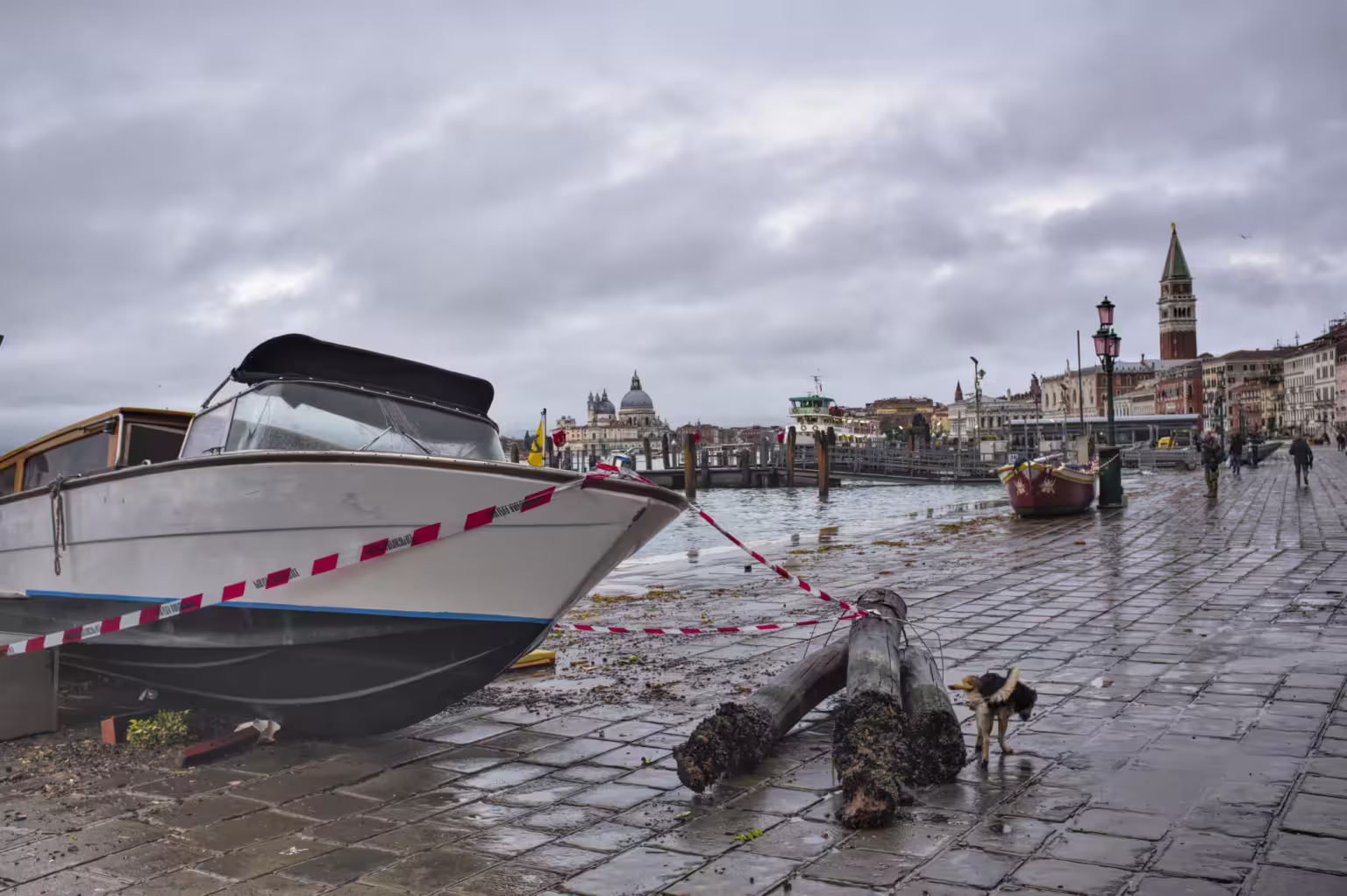 The Acqualta of 2019