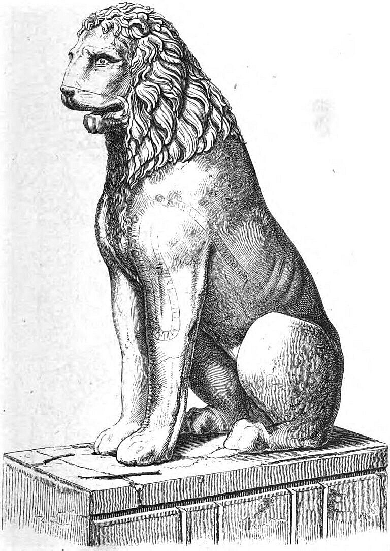 Left side of the lion