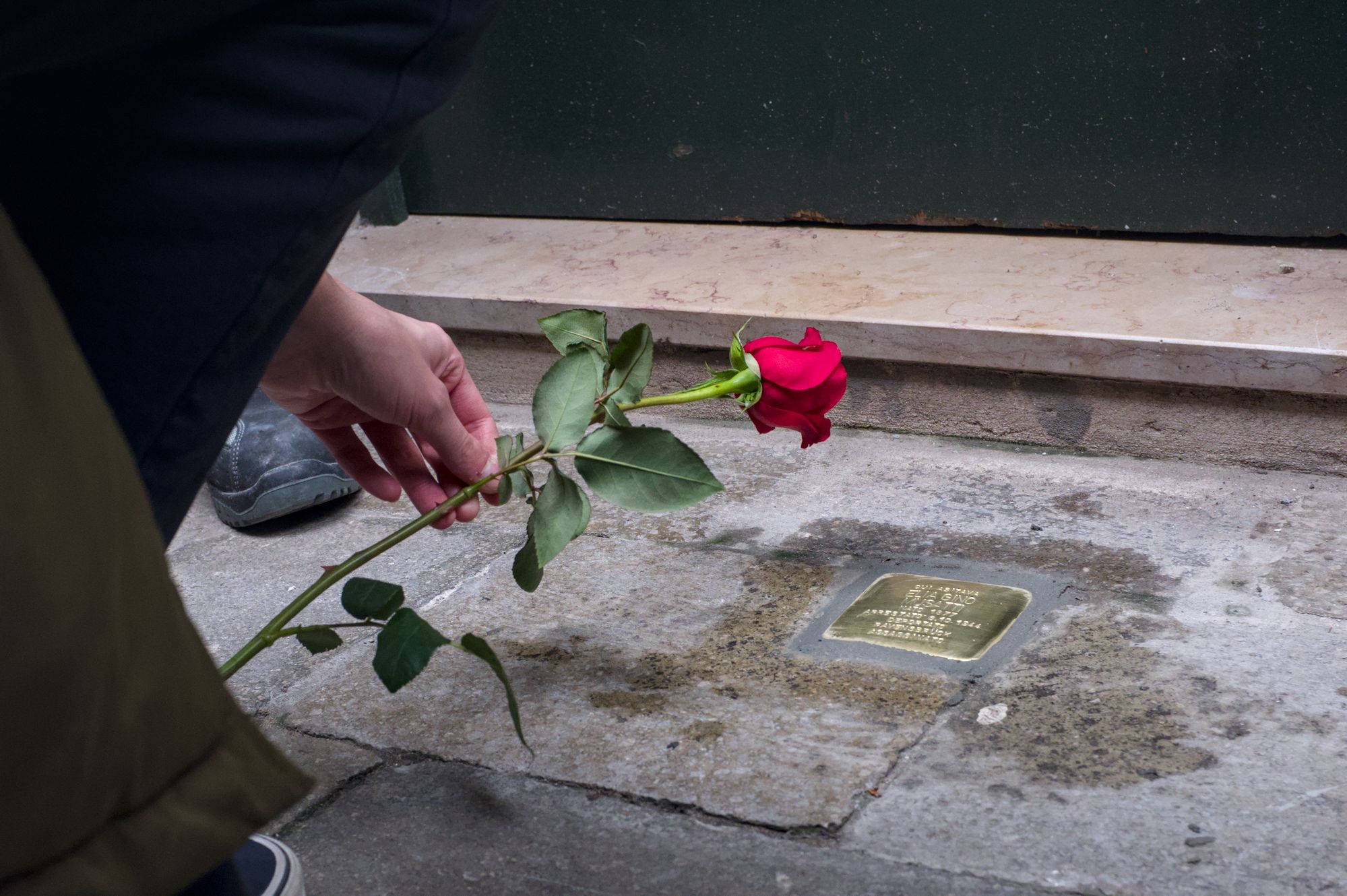 A rose for the memory of Elia Gino Mussatti