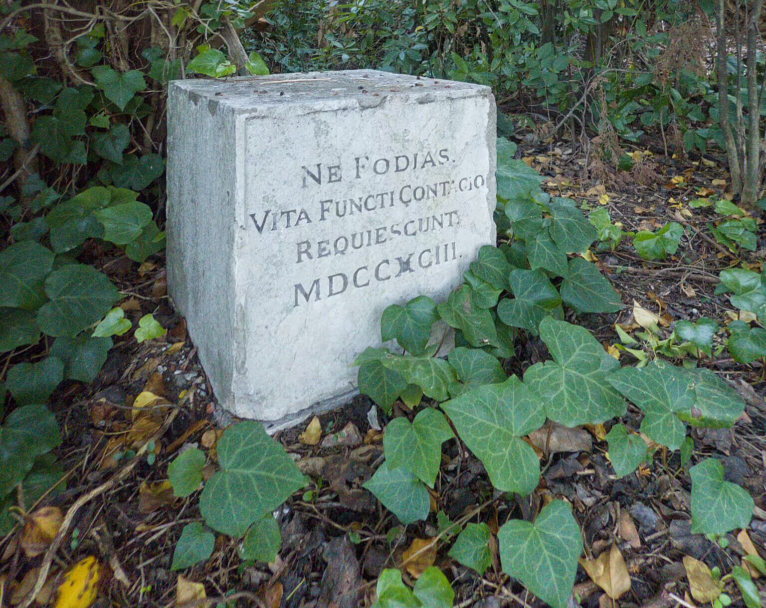 The real plague stone of Poveglia