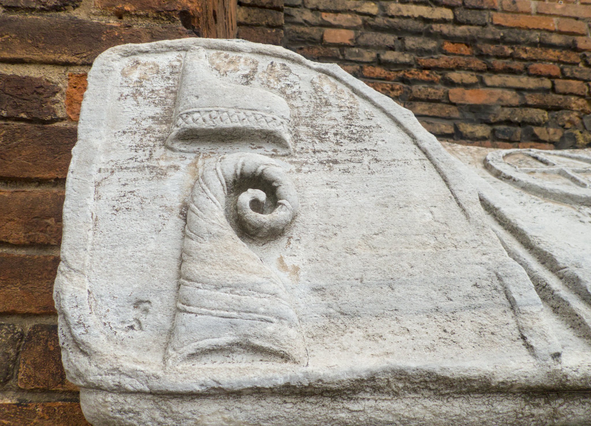 MEZZO CORNO DI CERVO XL 121-170g - Confezionato singolo