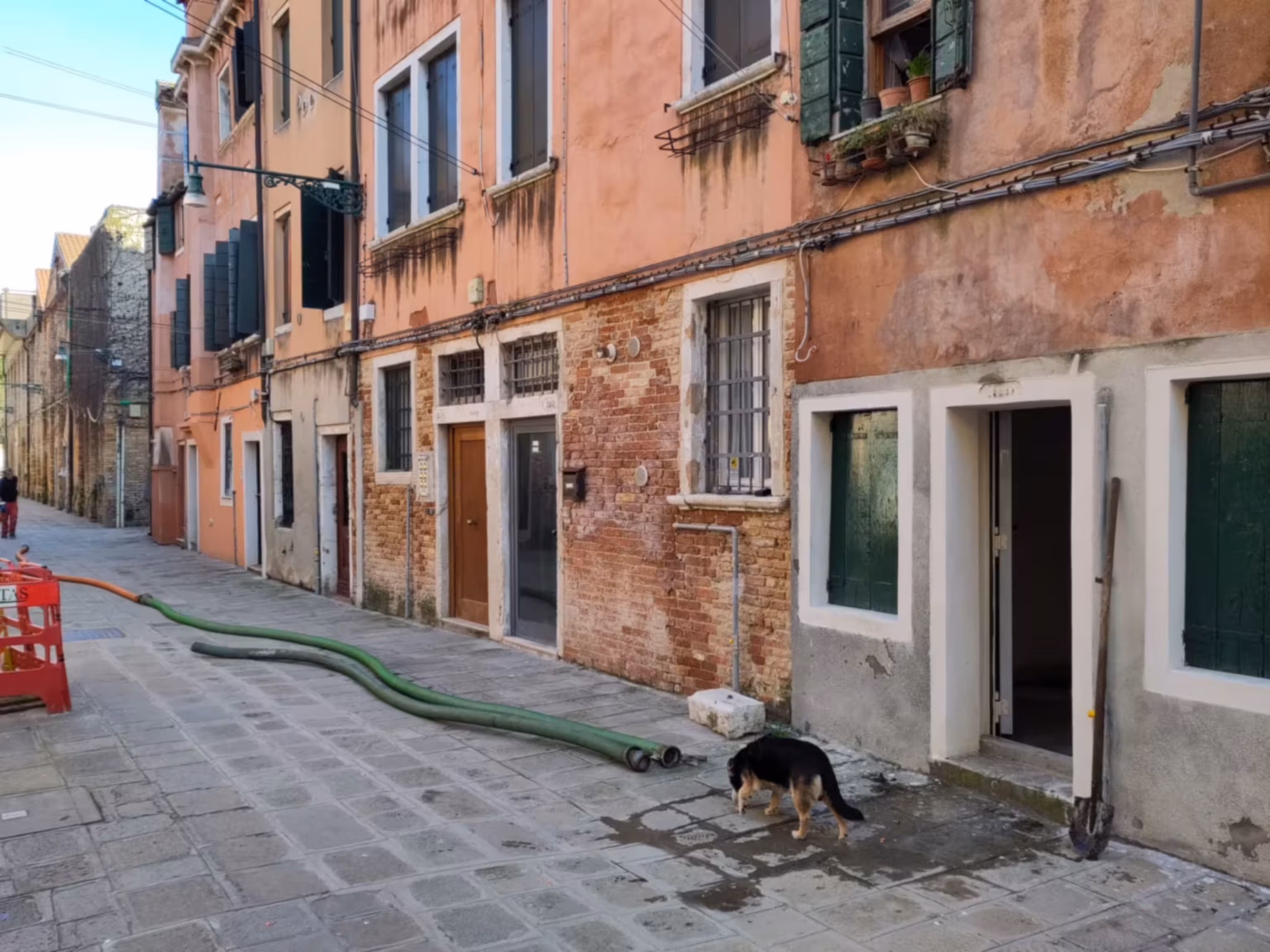 A Venetian  alleyway, with some large tubes lying disconnected on the ground. A dog is sniffing around.