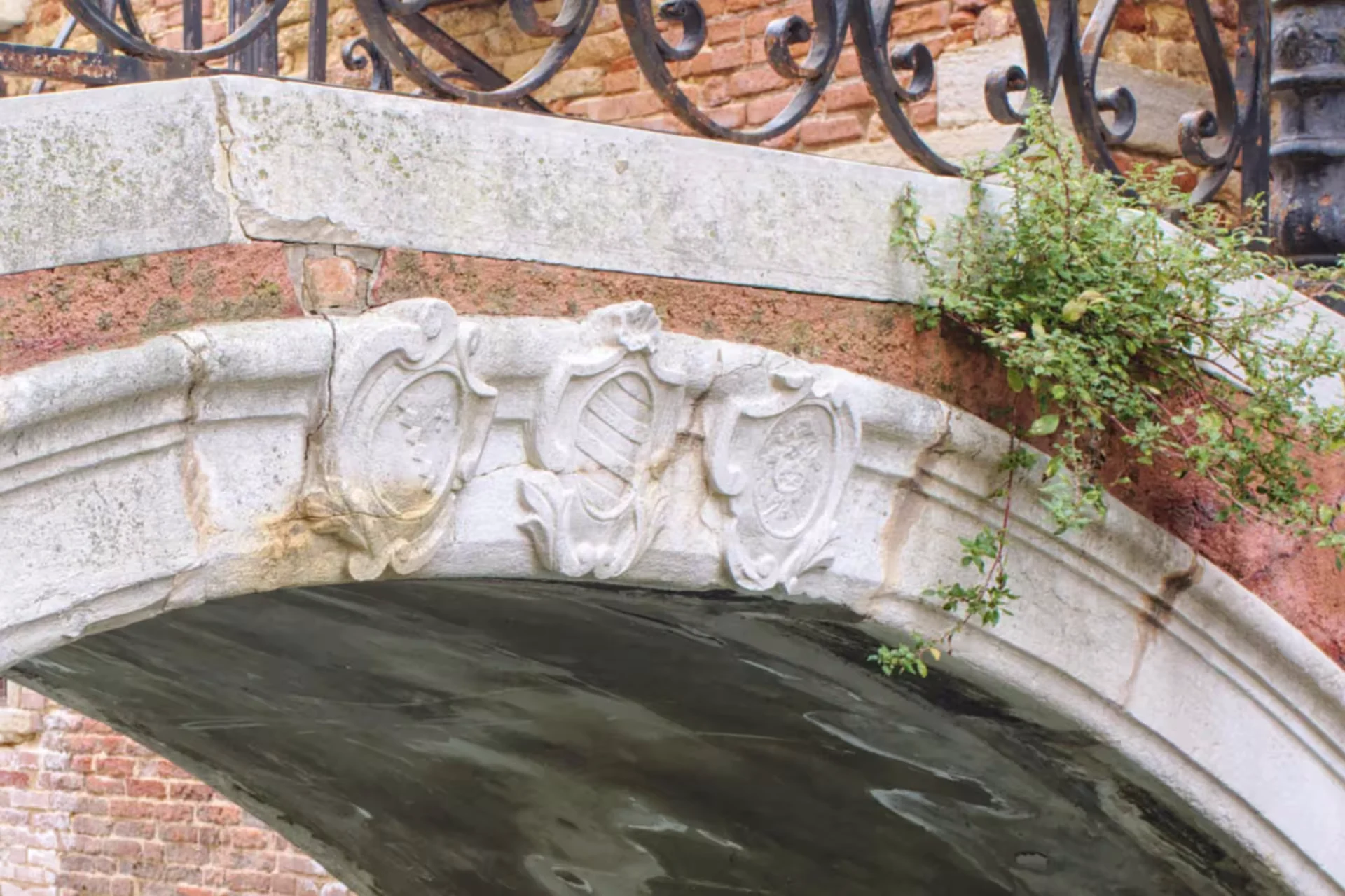 Bridges in Venice
