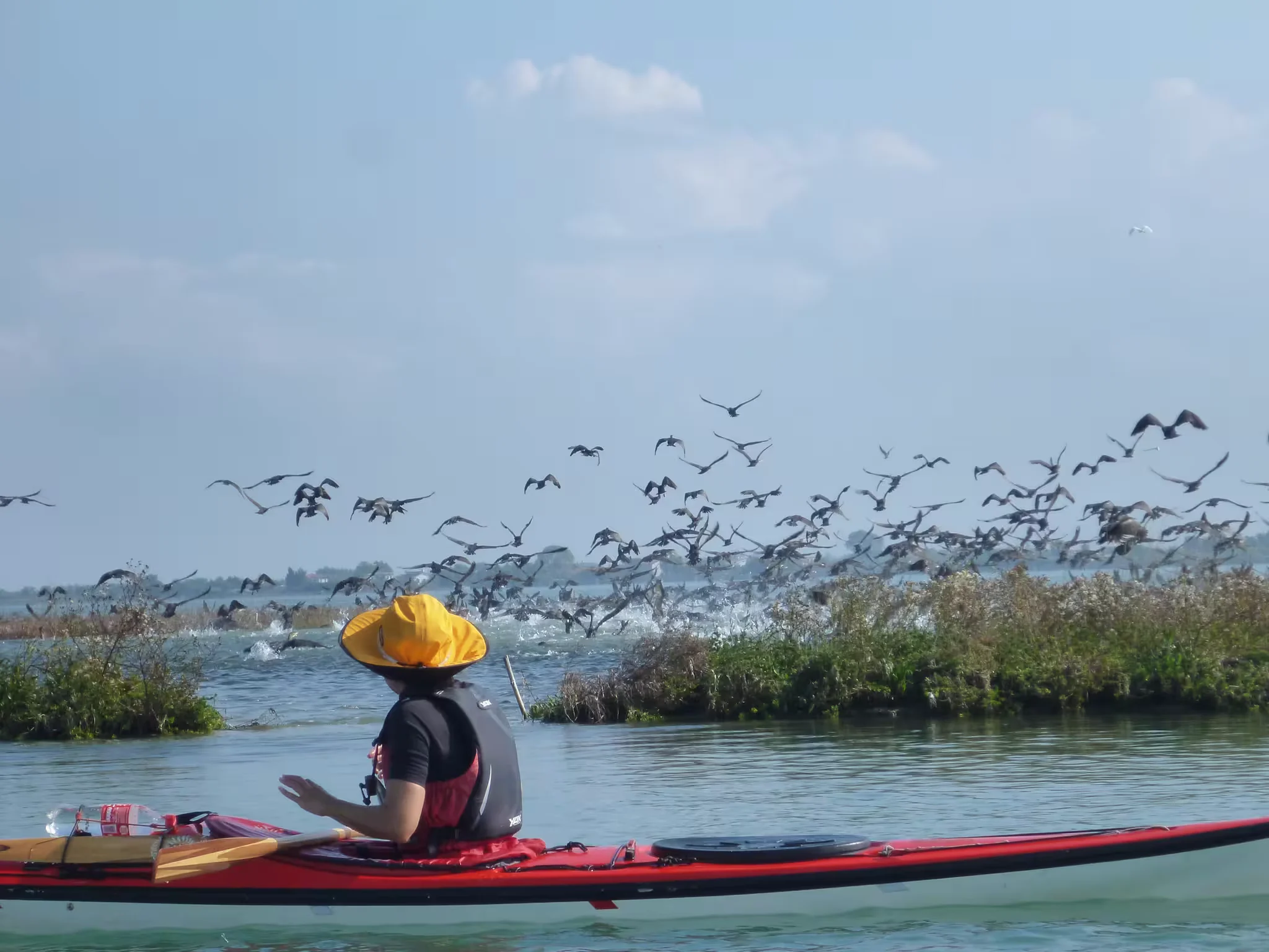 The Venetian Lagoon