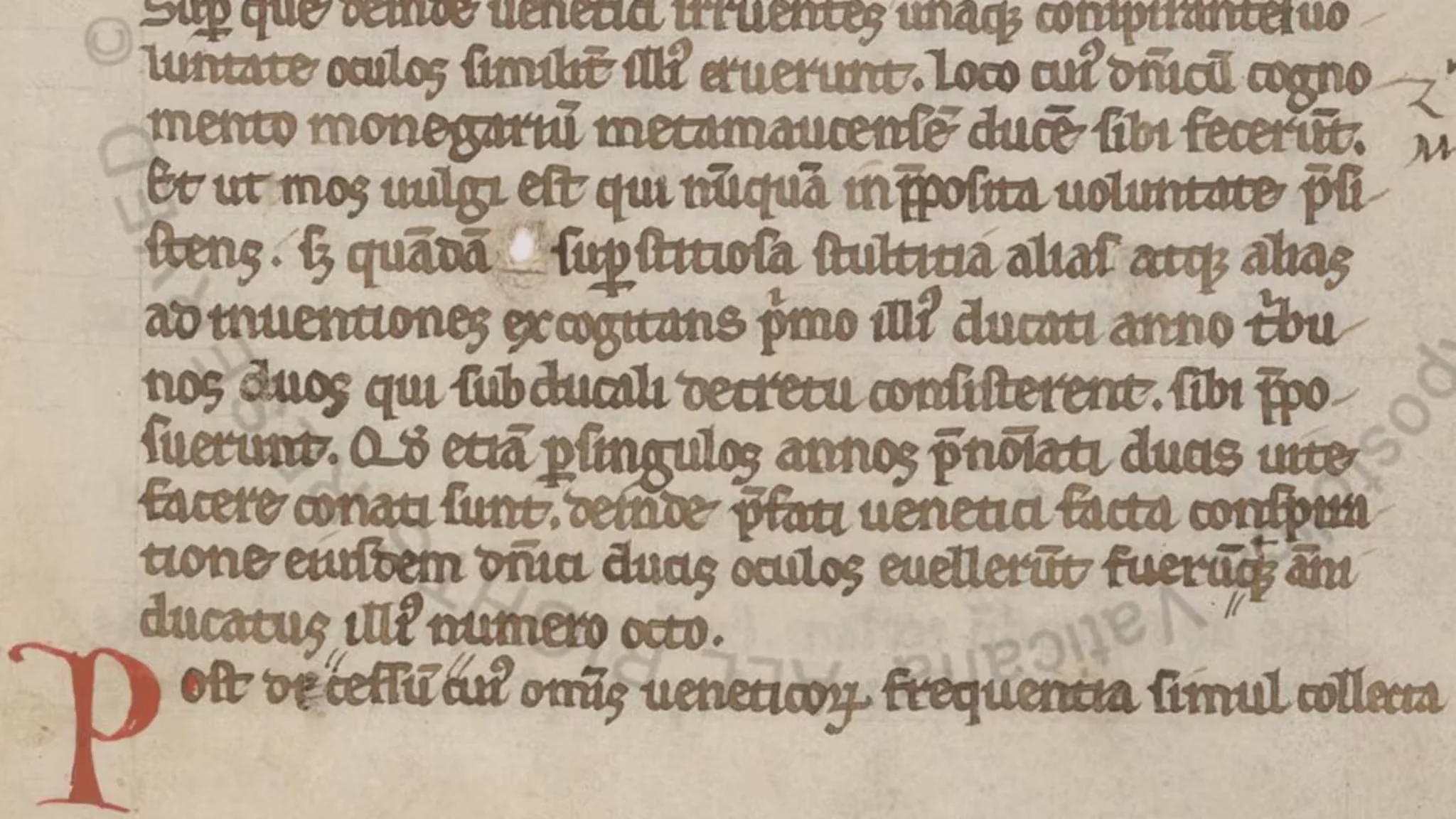 Domenicus Monegarius